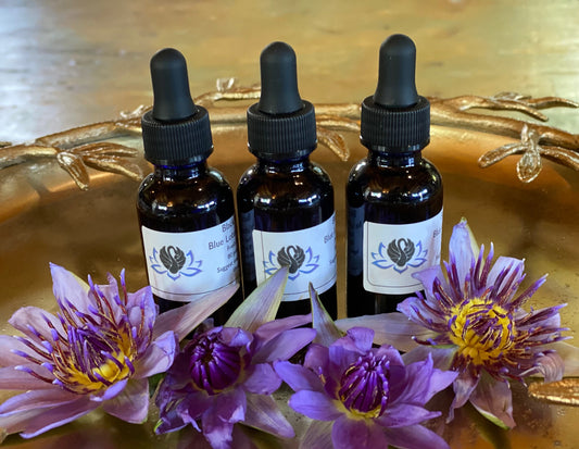 Blue Lotus Flower Tincture