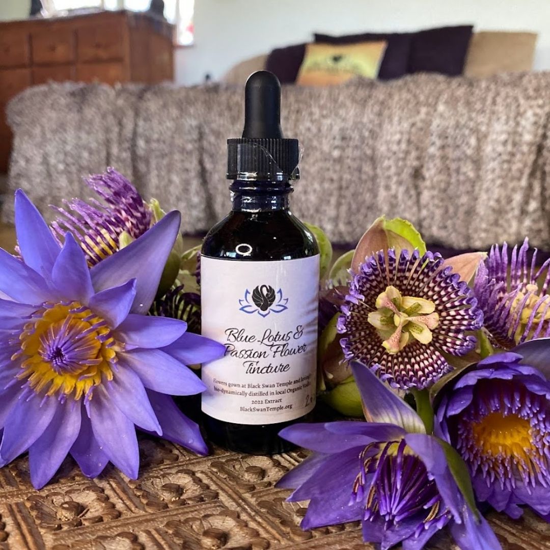 Blue Lotus & Passion Flower Tincture