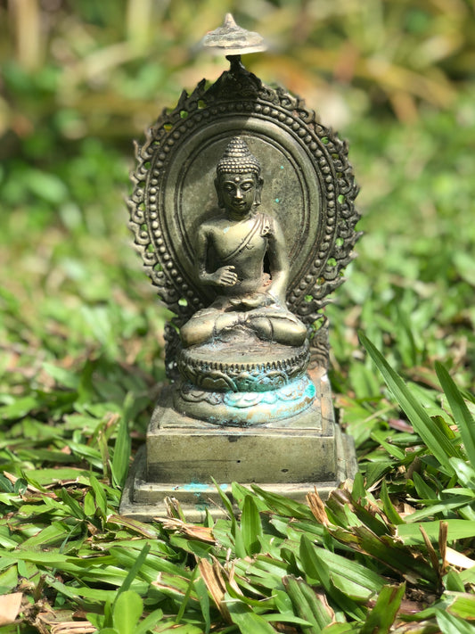 Buddha Statue Dharmachakra Mudra